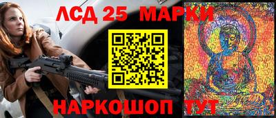 стаф Дубна
