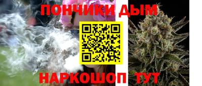 стаф Дубна