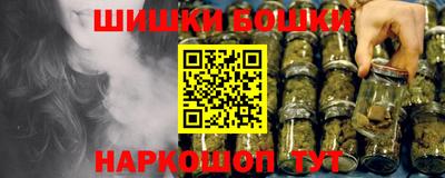 стаф Дубна