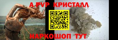 стаф Дубна