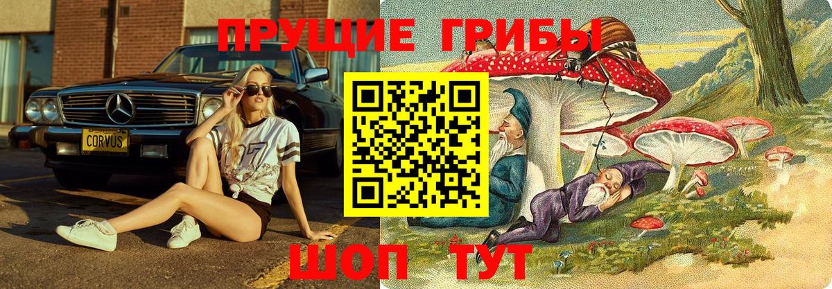 Мариинск  Псилоцибиновые грибы MAGIC MUSHROOMS  Вход с VPN  Галлюциногенные грибы Cubensis 